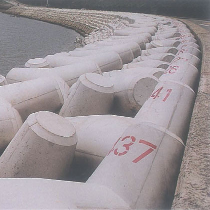 佐賀縣藤津郡太良國道207號