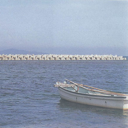 淀江海岸今津地區(qū)